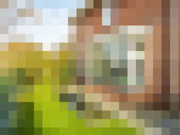 Laan van de Highlanders 2 Zutphen thumbnail 41