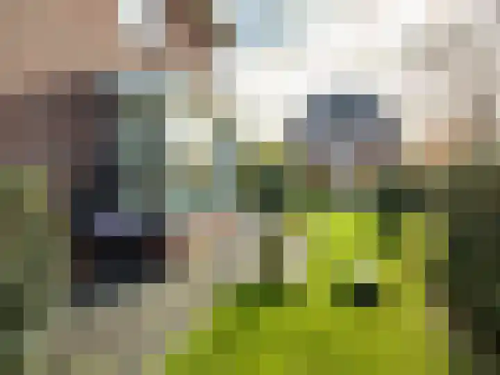 Laan van de Highlanders 2 Zutphen thumbnail 42