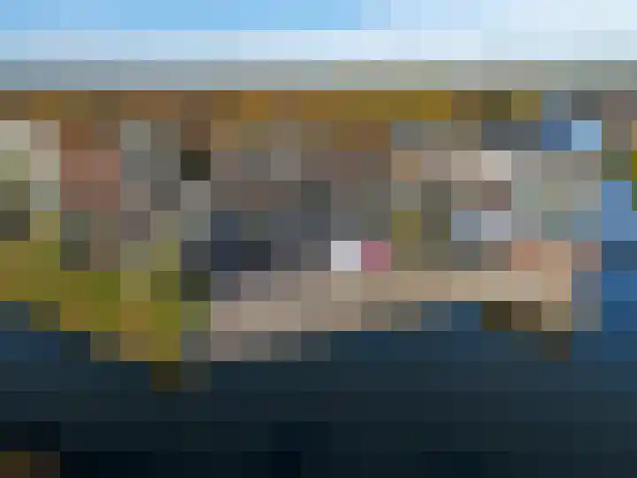 Laan van de Highlanders 2 Zutphen thumbnail 51
