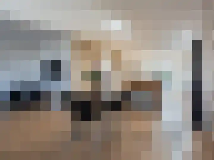 Laan van de Highlanders 2 Zutphen thumbnail 9