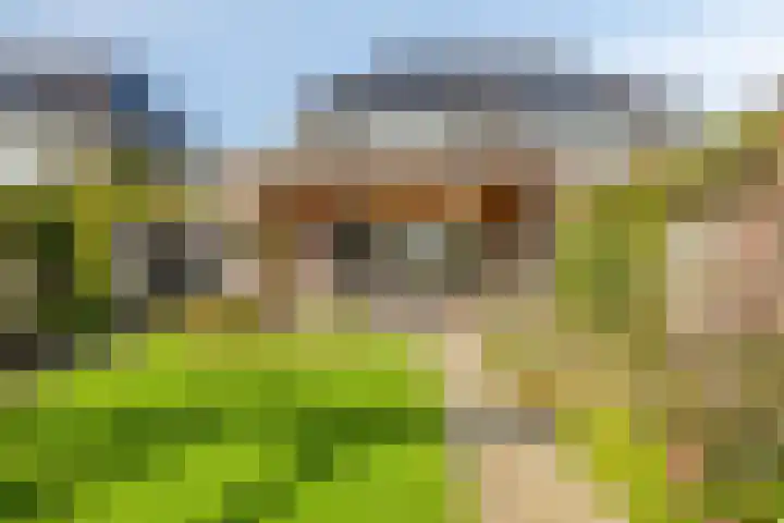 Laan van de Highlanders 44 Zutphen thumbnail 28
