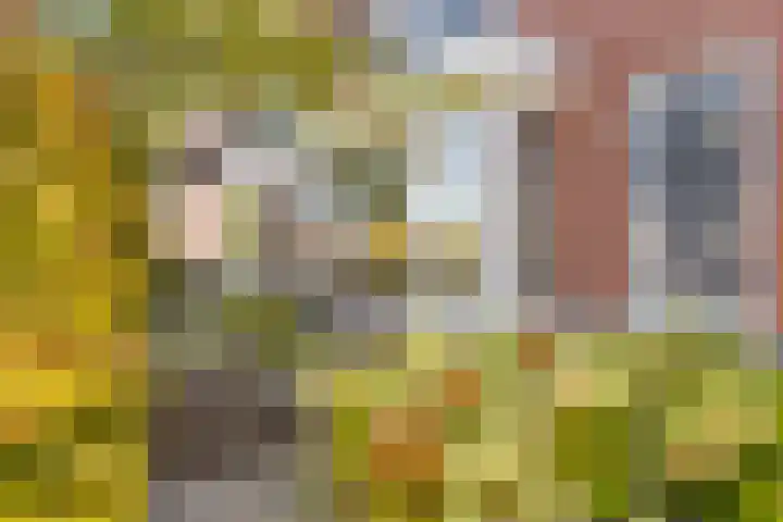 Laan van de Highlanders 44 Zutphen foto 3