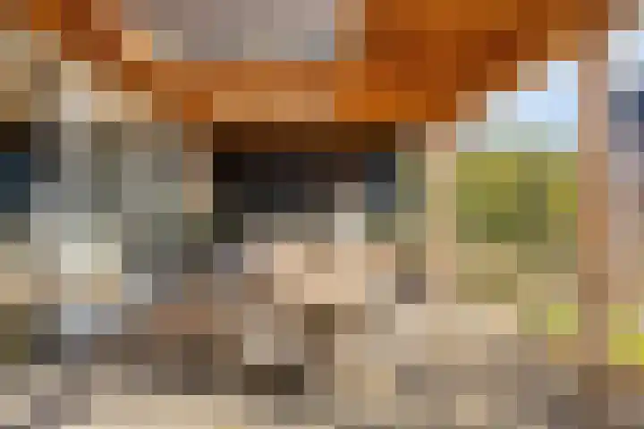 Laan van de Highlanders 44 Zutphen thumbnail 30