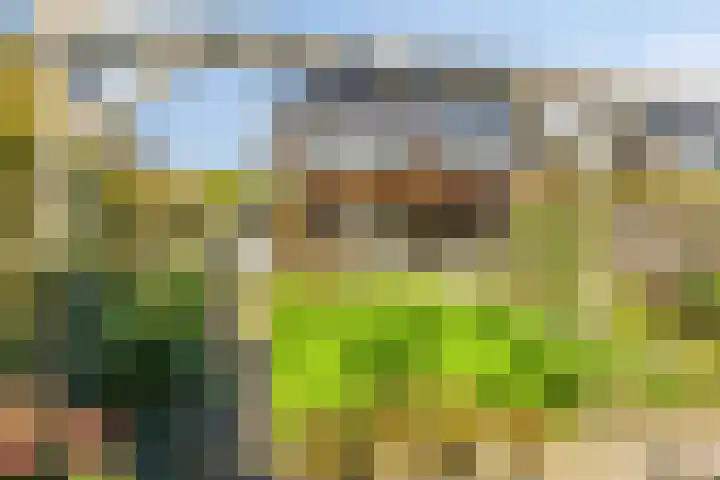 Laan van de Highlanders 44 Zutphen thumbnail 33