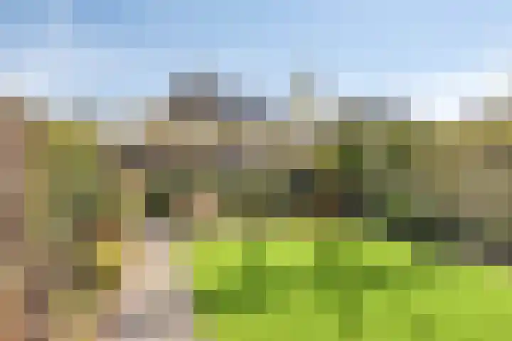 Laan van de Highlanders 44 Zutphen thumbnail 34