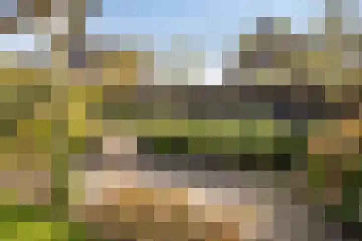 Laan van de Highlanders 44 Zutphen thumbnail 35