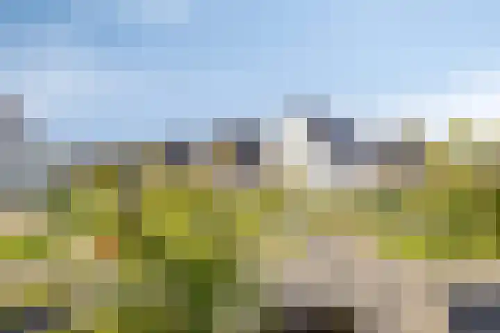 Laan van de Highlanders 44 Zutphen thumbnail 37