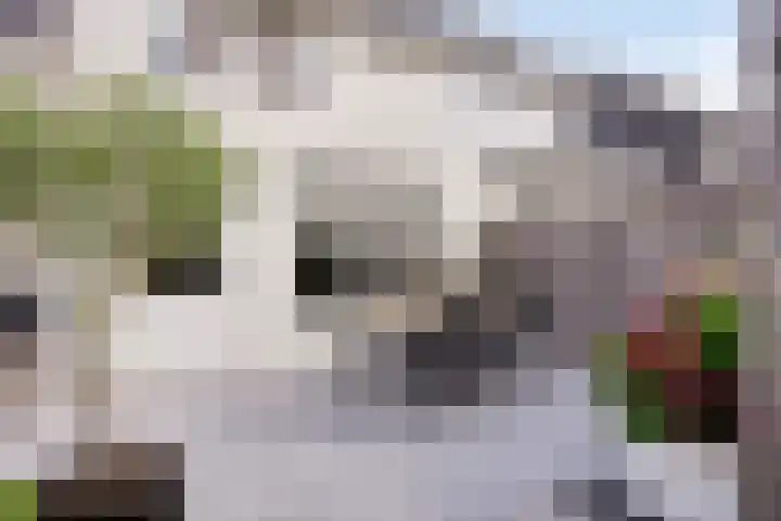 Laan van de Highlanders 49 Zutphen thumbnail 32