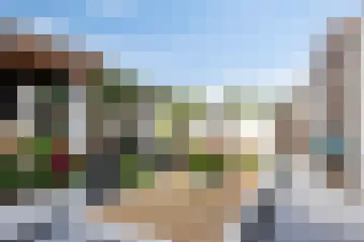 Laan van de Highlanders 49 Zutphen thumbnail 34
