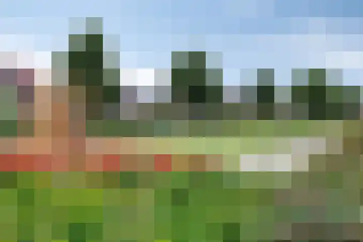 Laan van de Highlanders 49 Zutphen thumbnail 44