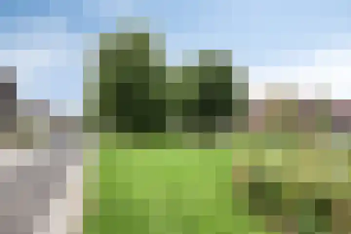 Laan van de Highlanders 49 Zutphen thumbnail 45