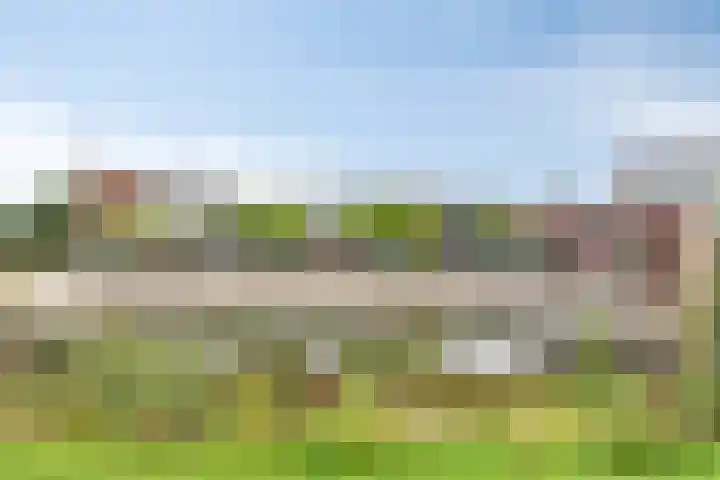 Laan van de Highlanders 49 Zutphen thumbnail 46