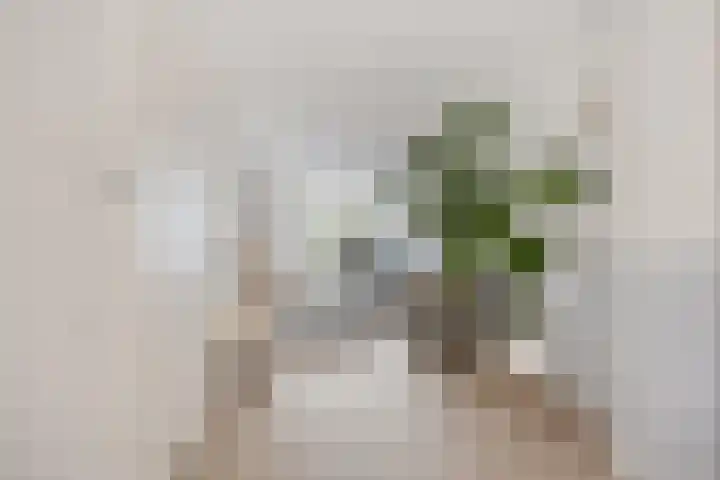 Laan van de Highlanders 49 Zutphen thumbnail 5