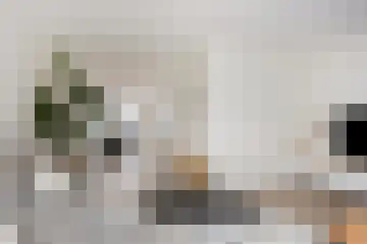 Laan van de Highlanders 49 Zutphen thumbnail 8