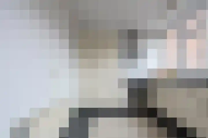 Laan van de Iemenhees 162 Emmen thumbnail 14