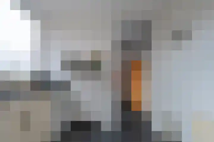 Laan van de Iemenhees 162 Emmen thumbnail 16