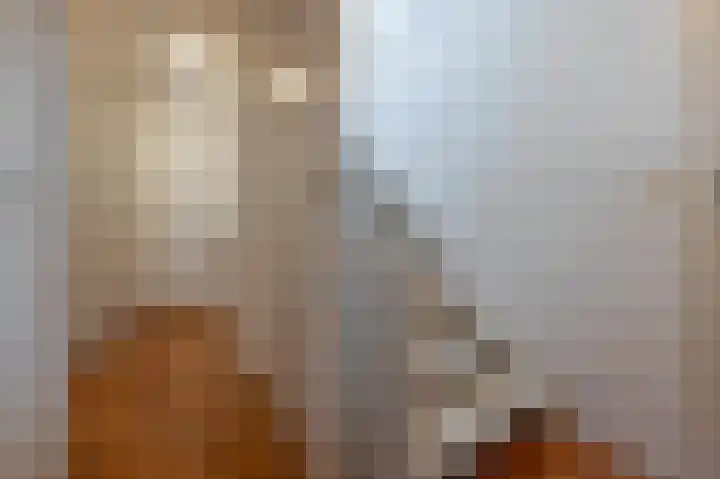 Laan van de Iemenhees 162 Emmen thumbnail 17