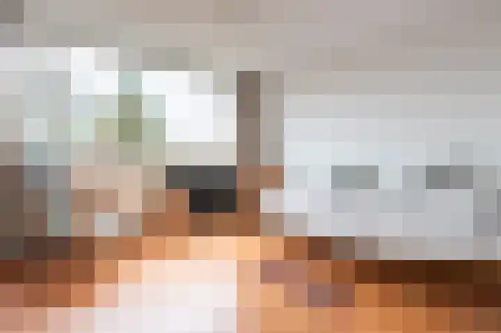 Laan van de Iemenhees 162 Emmen thumbnail 18