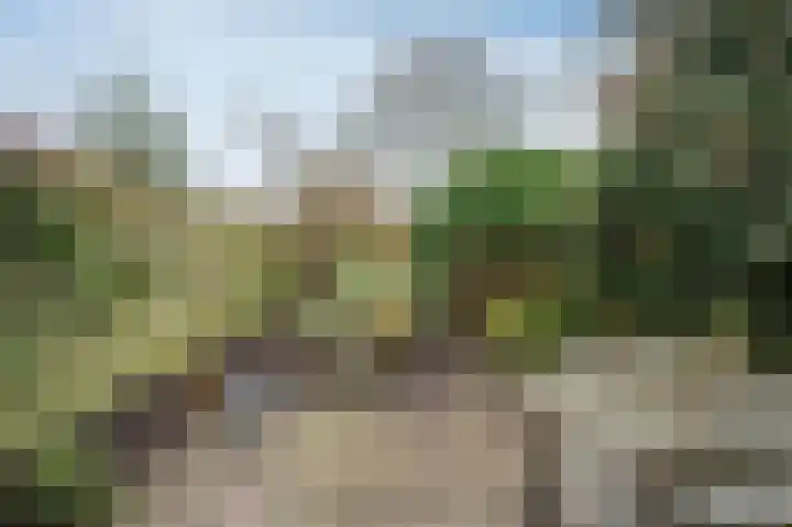 Laan van de Iemenhees 162 Emmen thumbnail 27