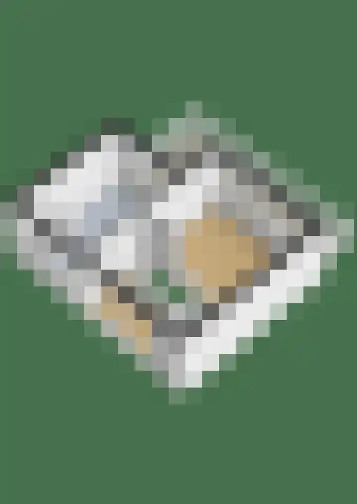 Laan van de Iemenhees 162 Emmen thumbnail 35