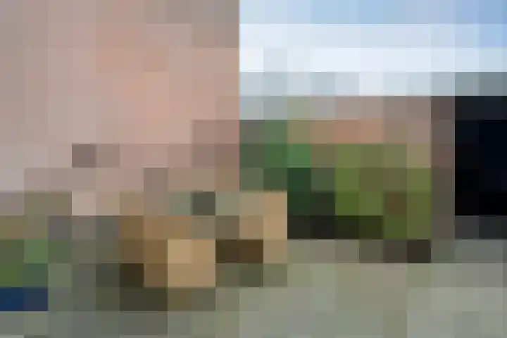 Laan van de Iemenhees 162 Emmen thumbnail 5