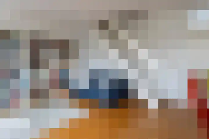 Laan van de Iemenhees 162 Emmen thumbnail 7
