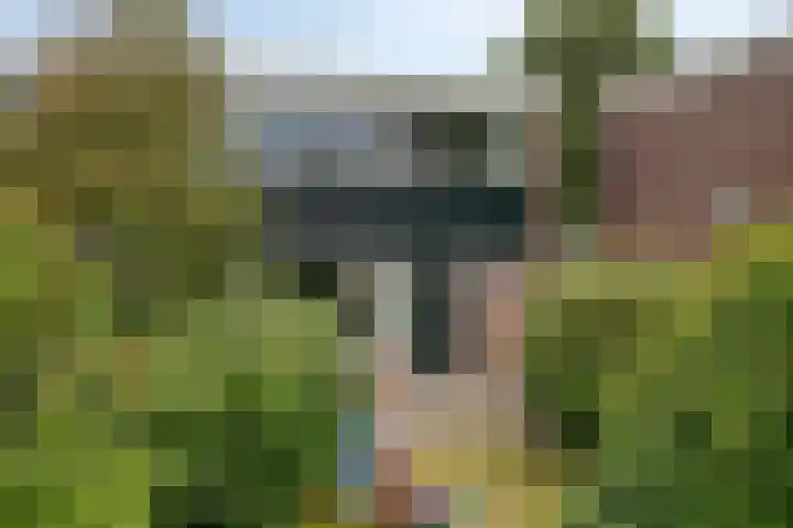 Laan van de Iemenhees 218 Emmen