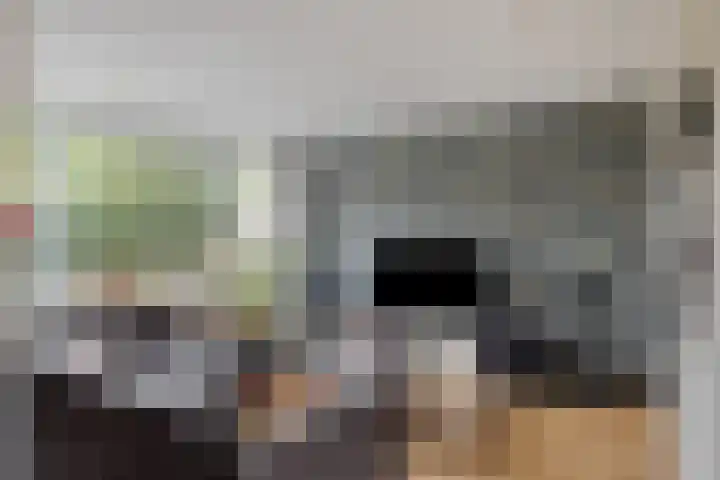 Laan van de Iemenhees 218 Emmen thumbnail 13