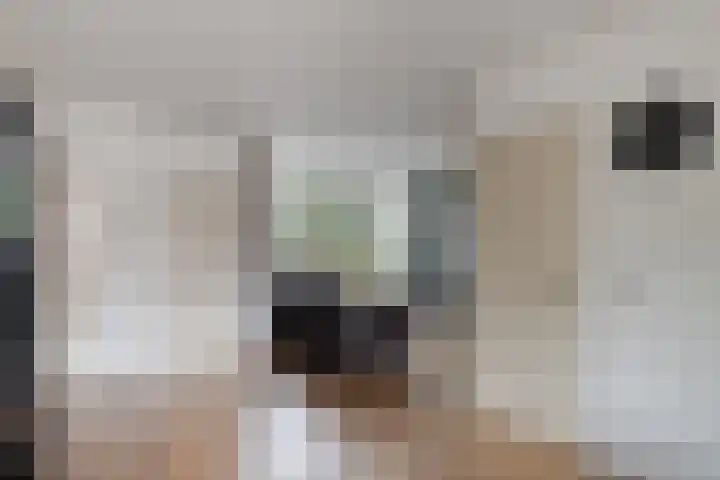 Laan van de Iemenhees 218 Emmen thumbnail 14