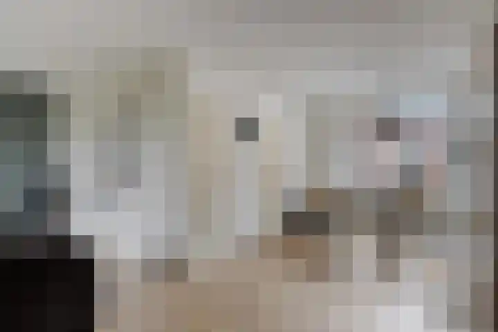 Laan van de Iemenhees 218 Emmen thumbnail 15