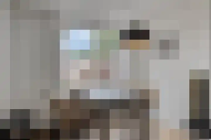 Laan van de Iemenhees 218 Emmen thumbnail 17