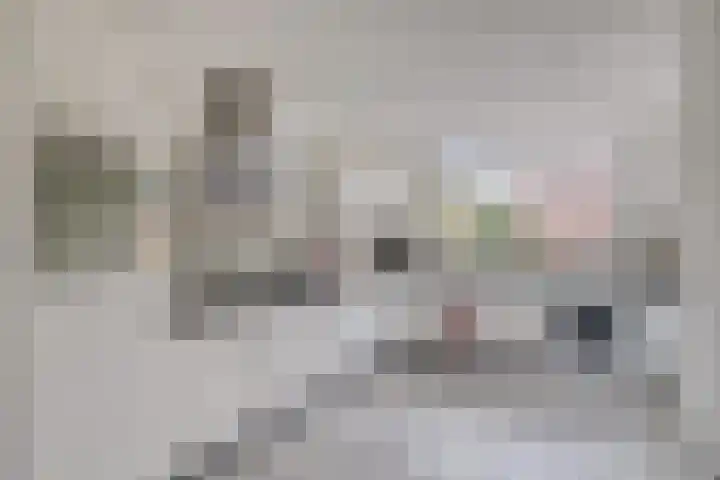 Laan van de Iemenhees 218 Emmen thumbnail 19