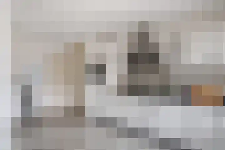 Laan van de Iemenhees 218 Emmen thumbnail 20