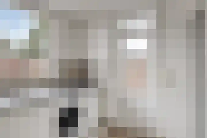 Laan van de Iemenhees 218 Emmen thumbnail 21