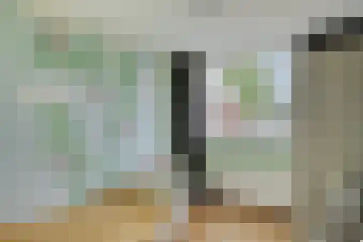 Laan van de Iemenhees 218 Emmen thumbnail 31