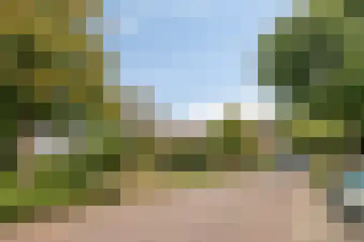 Laan van de Iemenhees 218 Emmen thumbnail 39
