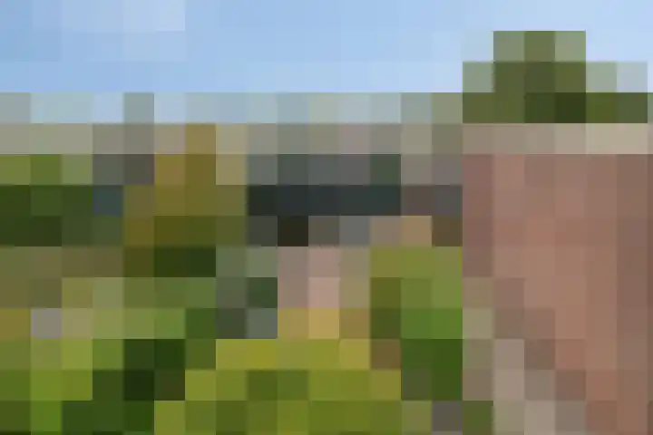Laan van de Iemenhees 218 Emmen thumbnail 5