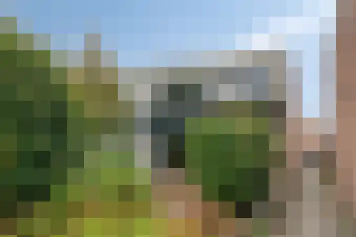 Laan van de Iemenhees 218 Emmen thumbnail 7