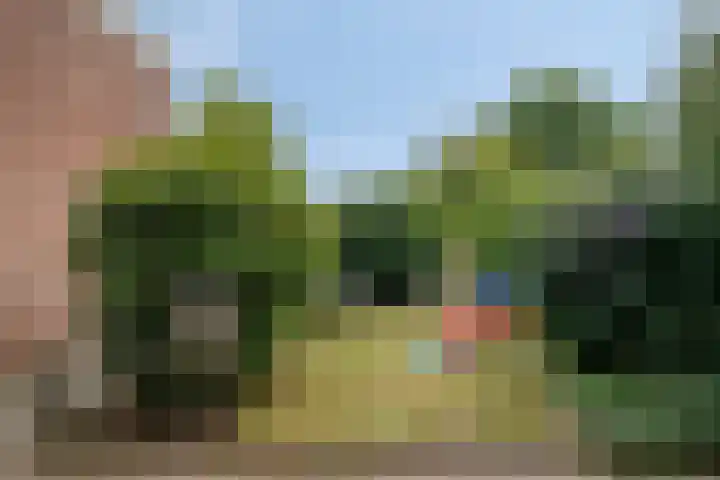 Laan van de Iemenhees 218 Emmen thumbnail 8