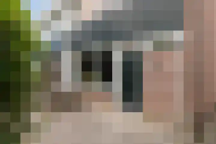 Laan van de Iemenhees 218 Emmen thumbnail 9