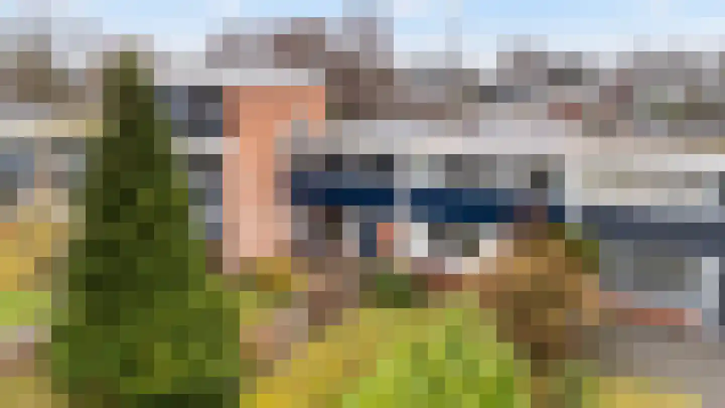Laan van de Iemenhees 234 Emmen