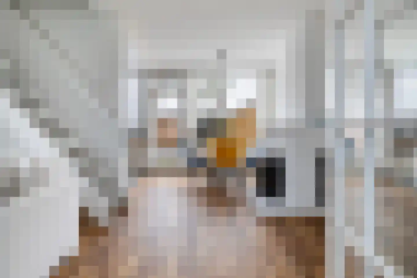 Laan van de Iemenhees 234 Emmen thumbnail 10