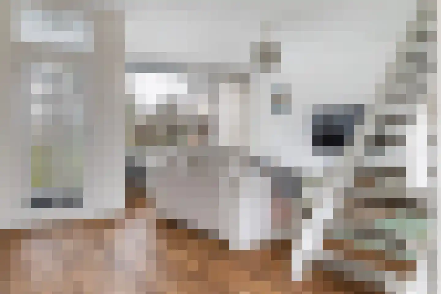 Laan van de Iemenhees 234 Emmen thumbnail 12