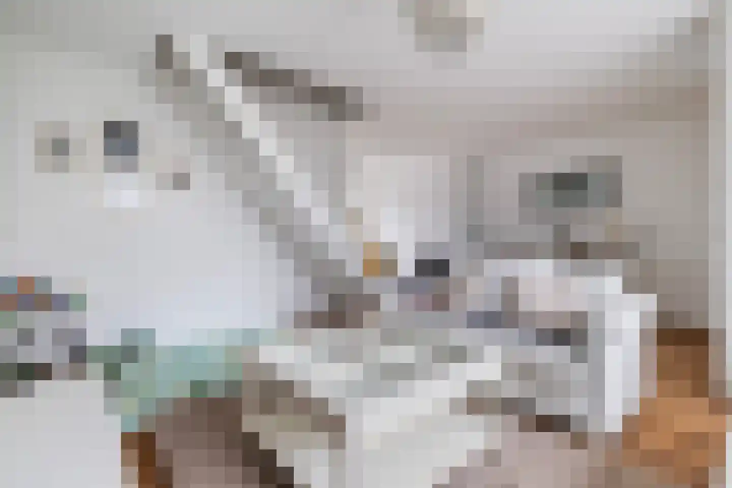 Laan van de Iemenhees 234 Emmen thumbnail 14