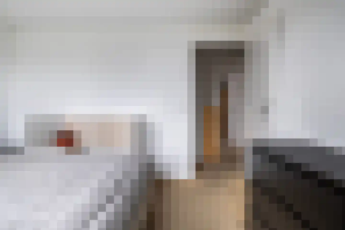 Laan van de Iemenhees 234 Emmen thumbnail 25