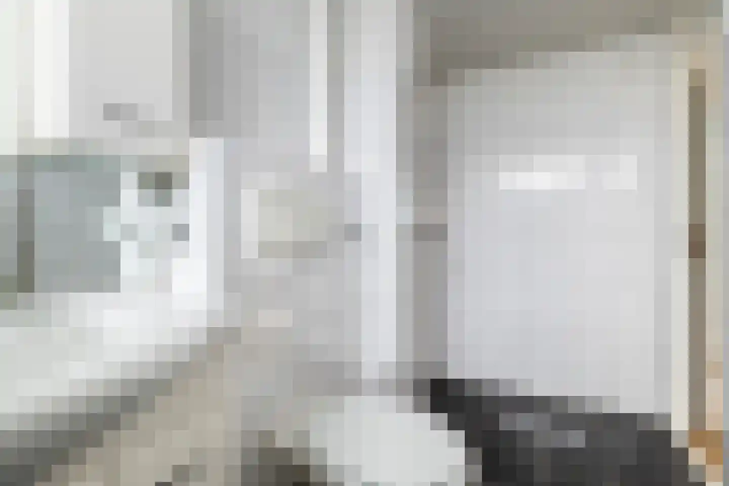Laan van de Iemenhees 234 Emmen thumbnail 30