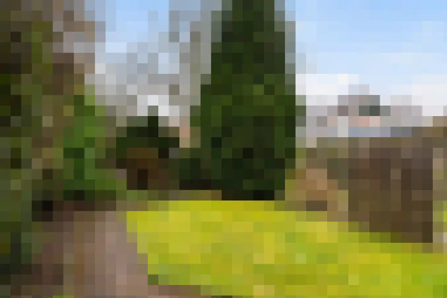 Laan van de Iemenhees 234 Emmen thumbnail 35