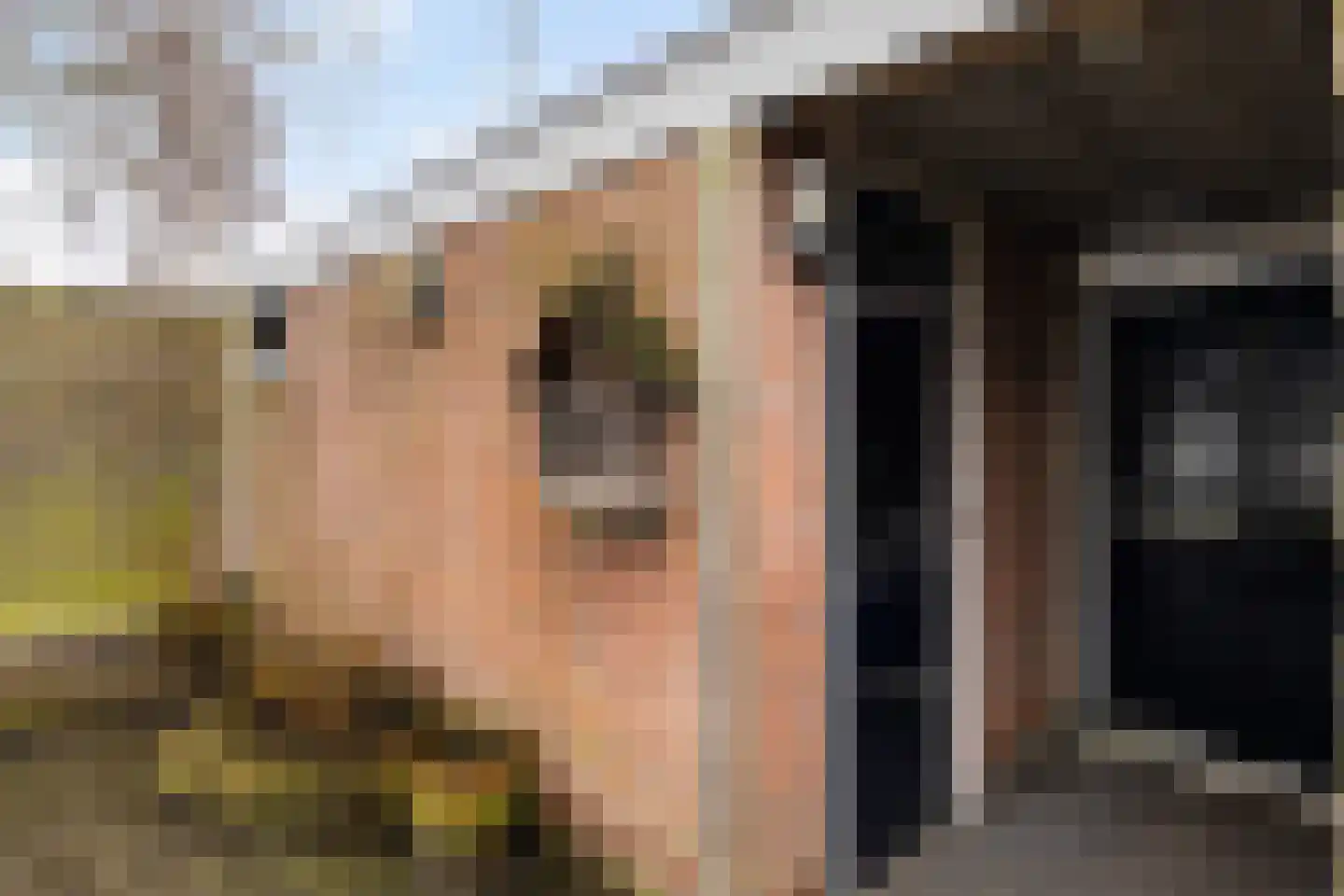 Laan van de Iemenhees 234 Emmen thumbnail 36