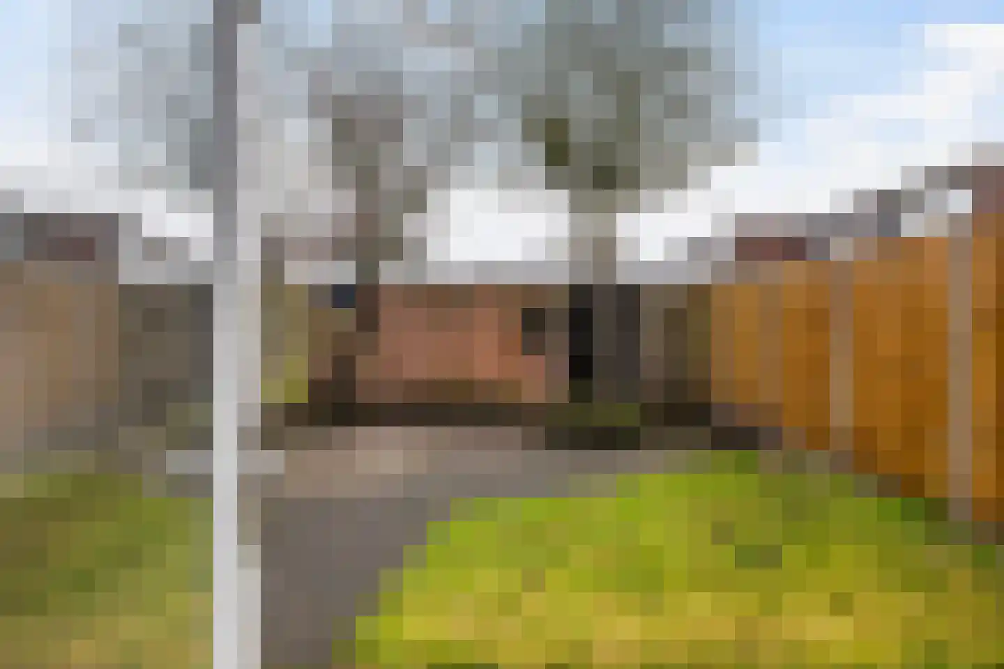 Laan van de Iemenhees 234 Emmen thumbnail 37
