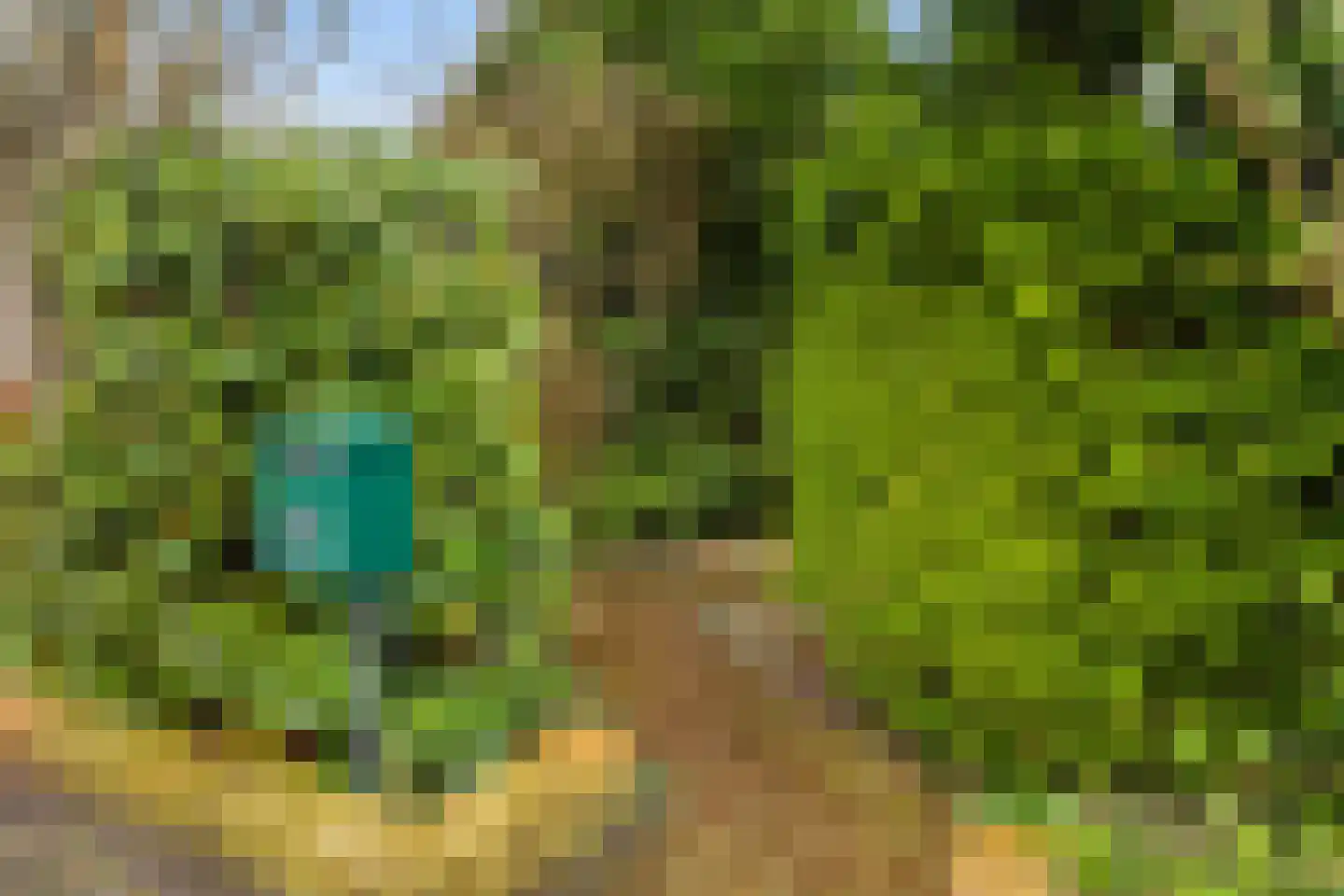 Laan van de Iemenhees 234 Emmen thumbnail 6